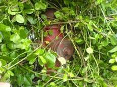 Fire Hydrant blocked